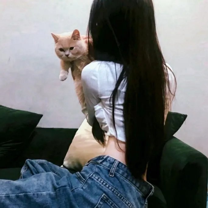 凯尔经的秘密 海报