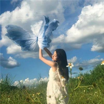 忍冬玫瑰 海报